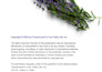 convert PDF to editable fillable documents professionally